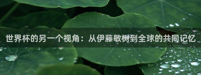 世界杯预选赛规则：世界杯的另一个视角：从伊藤敏树到全球的共同记忆