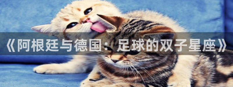 世界杯2026赛制：《阿根廷与德国：足球的双子星座》