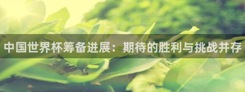 世界杯预选赛欧洲：中国世界杯筹备进展：期待的胜利与挑战并存