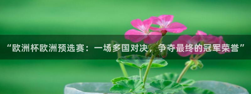 2026年世界杯赛程时间表格：“欧洲杯欧洲预选赛：一场多国对决，争夺最终的冠军荣誉”