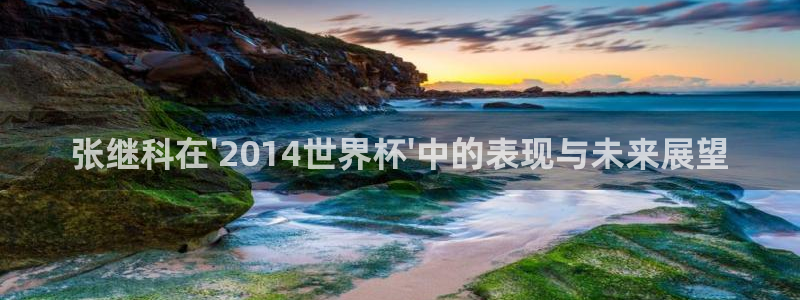 欧洲世界杯预选赛赛程：张继科在\'2014世界杯\'中的表现与未来展望