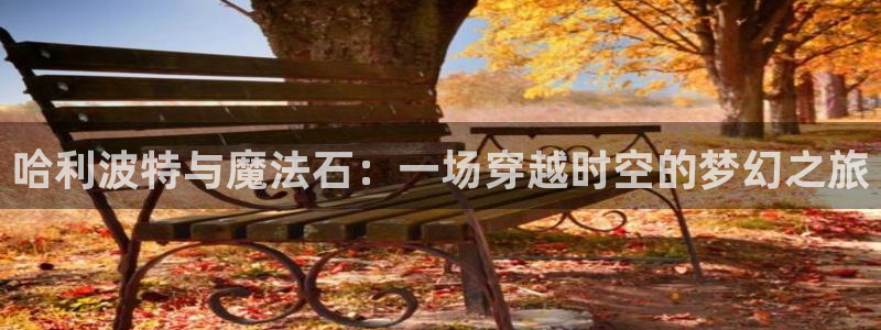 2026年足球世界杯赛程时间表：哈利波特与魔法石：一场穿越时空的梦幻之旅