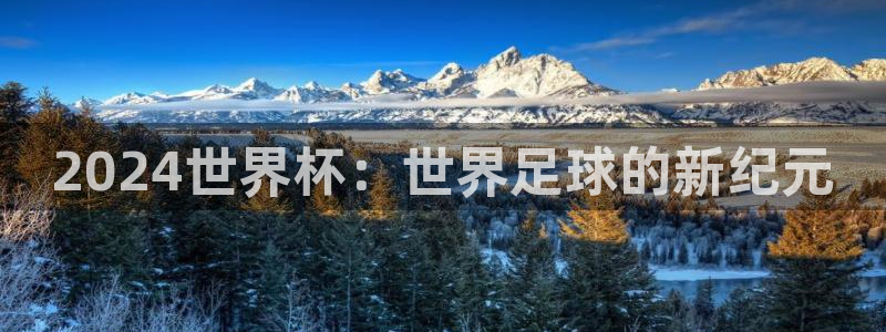 世界杯亚洲区预选赛积分榜：2024世界杯：世界足球的新纪元