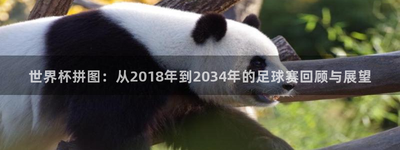 2026足球世界杯：世界杯拼图：从2018年到2034年的足球赛回顾与展望