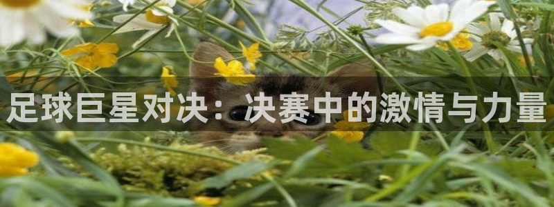 2026世界杯德国队阵容：足球巨星对决：决赛中的激情与力量