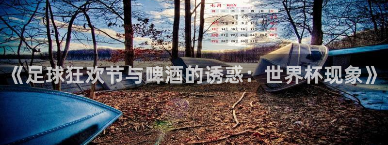 世界杯决赛圈球队：《足球狂欢节与啤酒的诱惑：世界杯现象》