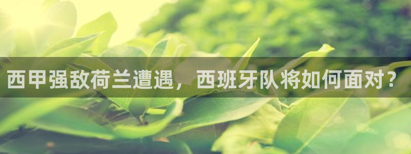世界杯预选赛规则：西甲强敌荷兰遭遇，西班牙队将如何面对？