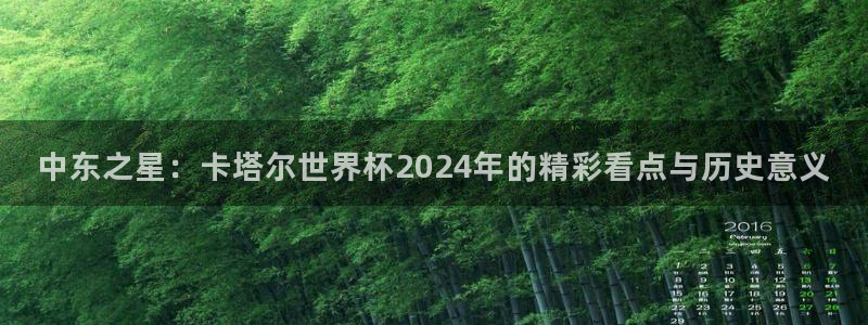 2026年世界杯赛程：中东之星：卡塔尔世界杯2024年的精彩看点与历史意义