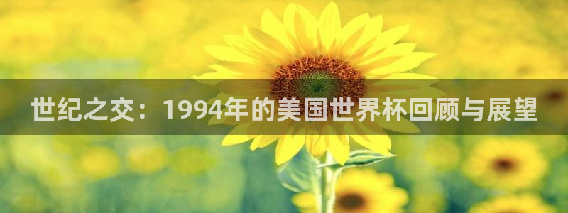 美国世界杯：世纪之交：1994年的美国世界杯回顾与展望