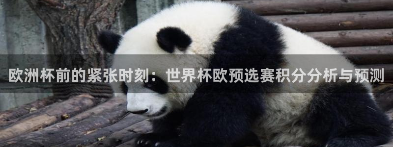 世界杯 直播：欧洲杯前的紧张时刻：世界杯欧预选赛积分分析与预测