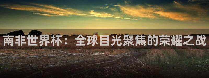 美洲杯直播：南非世界杯：全球目光聚焦的荣耀之战