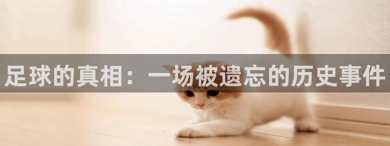 世界杯系列赛：足球的真相：一场被遗忘的历史事件