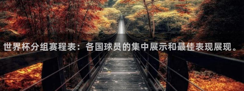 世界杯预赛赛程：世界杯分组赛程表：各国球员的集中展示和最佳表现展现。
