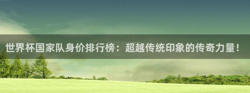 世界杯预选赛2026:世界杯国家队身价排行榜:超越传统印象的传奇力量!