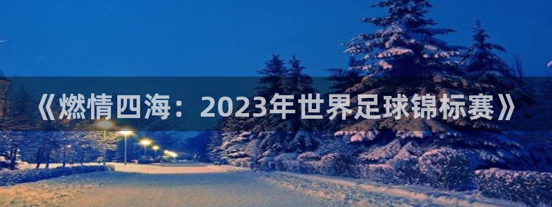 世界杯2026赛程时间表格：《燃情四海：2023年世界足球锦标赛》
