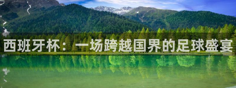 世界杯欧洲预选赛赛程：西班牙杯：一场跨越国界的足球盛宴