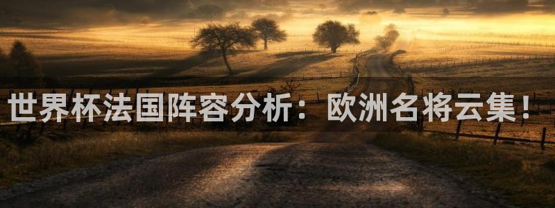 世界杯预选赛直播：世界杯法国阵容分析：欧洲名将云集！