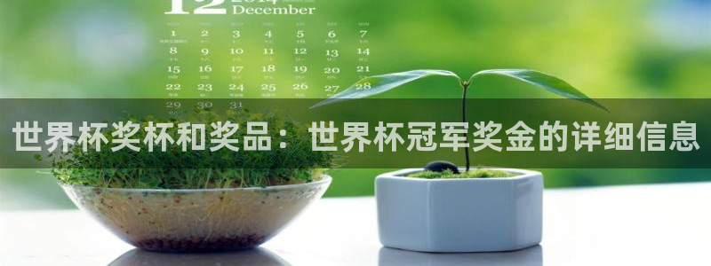 世界杯 2026：世界杯奖杯和奖品：世界杯冠军奖金的详细信息